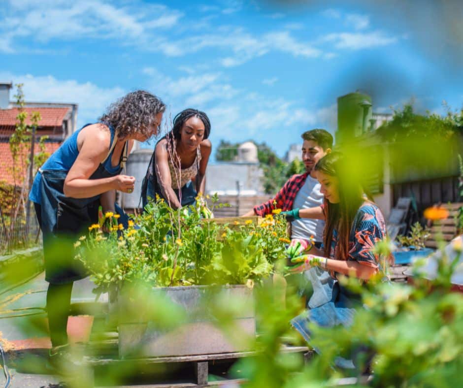 Group tending an outdoor planter