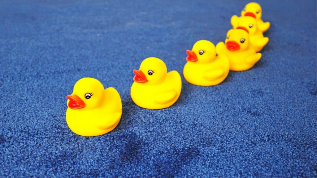 Plastic ducks in a row against a blue carpet