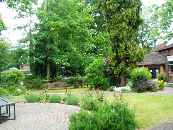 Frimley Green Library gardens